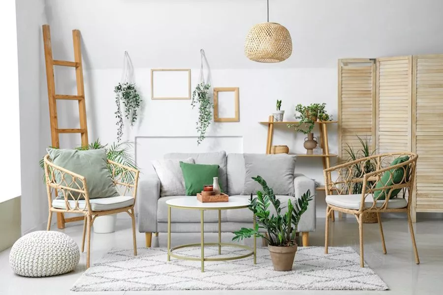 Un Futuro Eco-Friendly per la Nostra Casa
